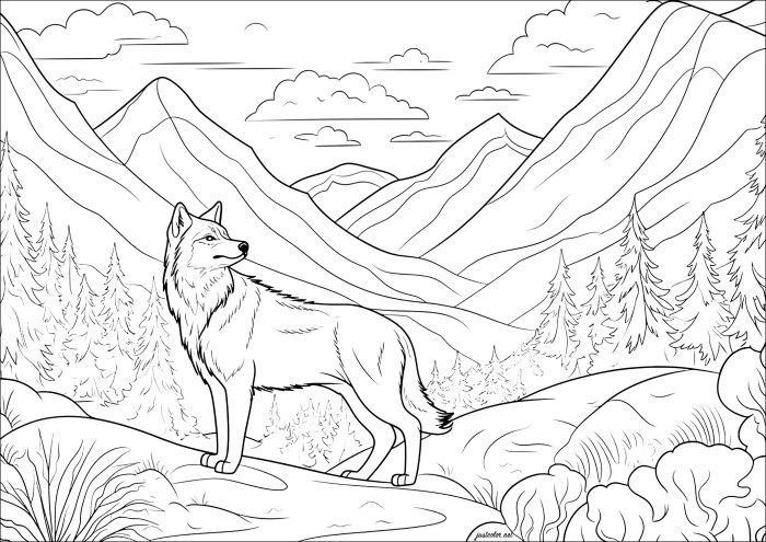 Wolf coloring book pages